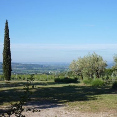 Domaine Coste Chaude