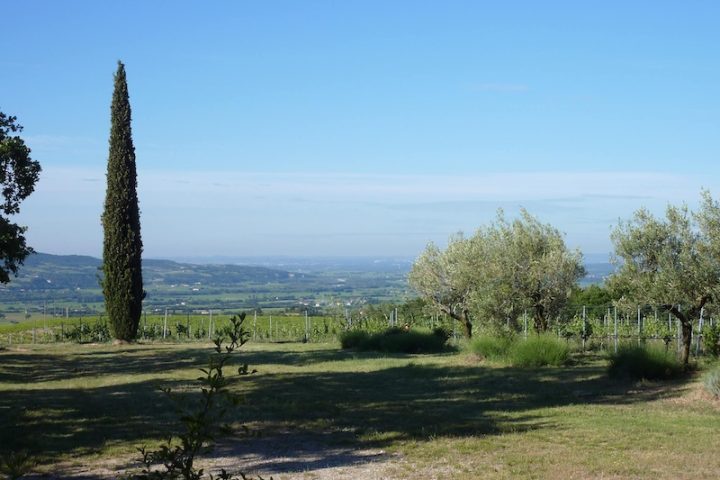 Domaine Coste Chaude