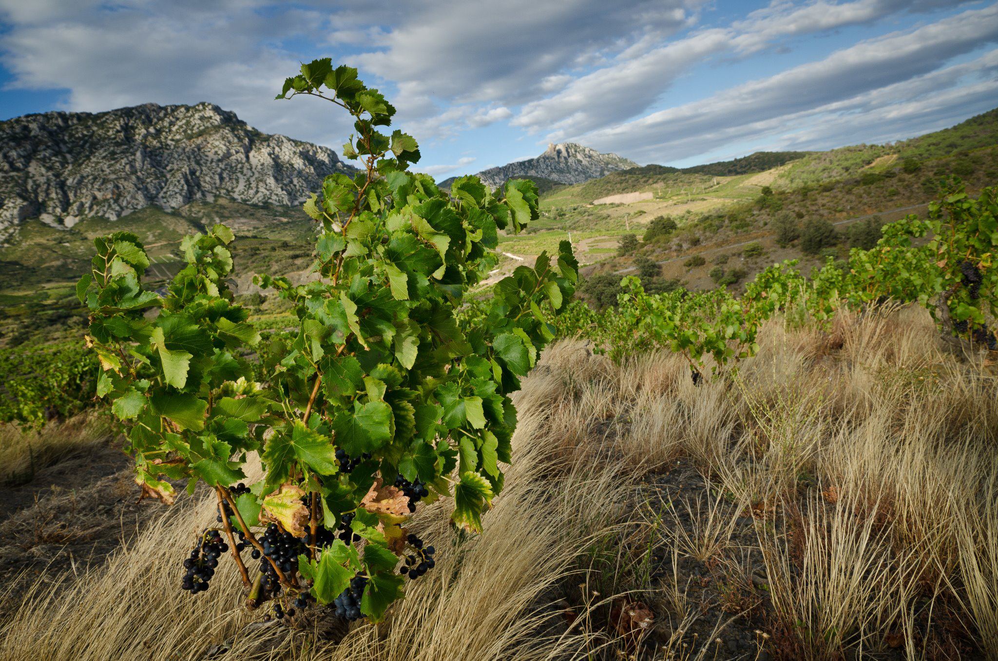 Domaine des Enfants